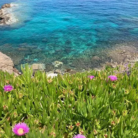 Walk On The Beach In Seconds - Studio With Apollon Beach View Balcony Apartmán Apollon (Naxos)