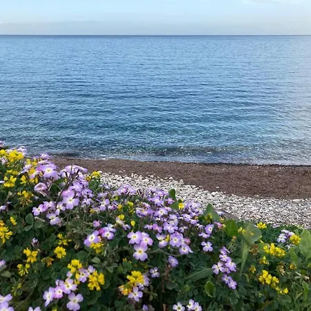 Walk On The Beach In Seconds - Studio With Apollon Beach View Balcony Apartman *